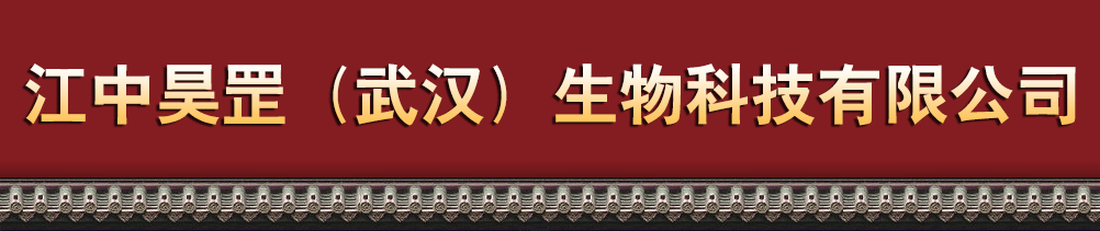 ��������h������Ƽ����޹�˾