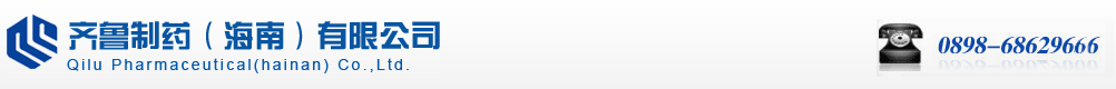 齊魯制藥(海南)有限公司