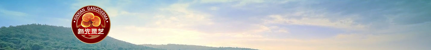 ���K������ˎ���޹�˾