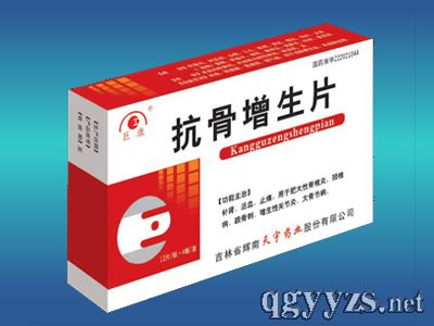 ��������Ƭ