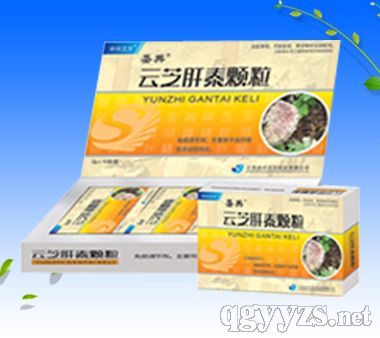 云芝肝泰顆粒10袋裝