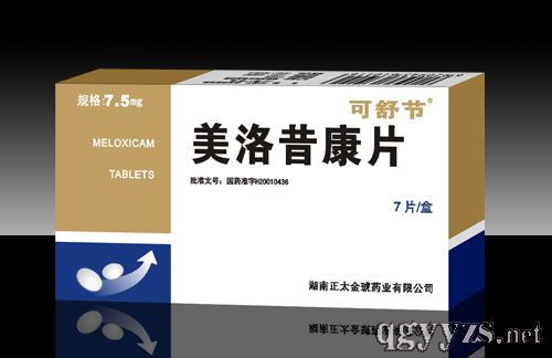 ��������Ƭ