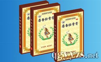 ���y(t��ng)����ѹǸ�