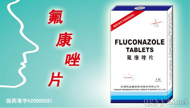 ������Ƭ