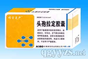 ����24���^�������z��