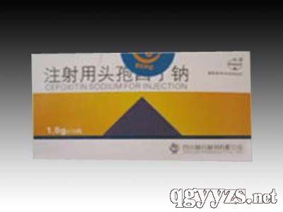 ע�����^�������c