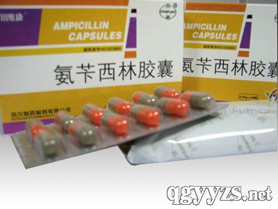 ���S�����z��