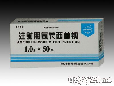 ע���ð��S�����c