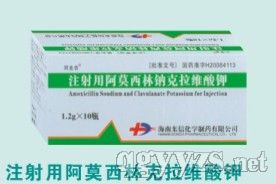 ע���ð�Ī���ֿ����S���-