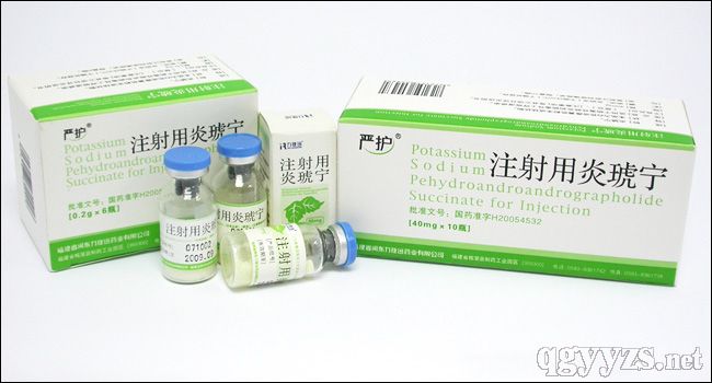 ע����������