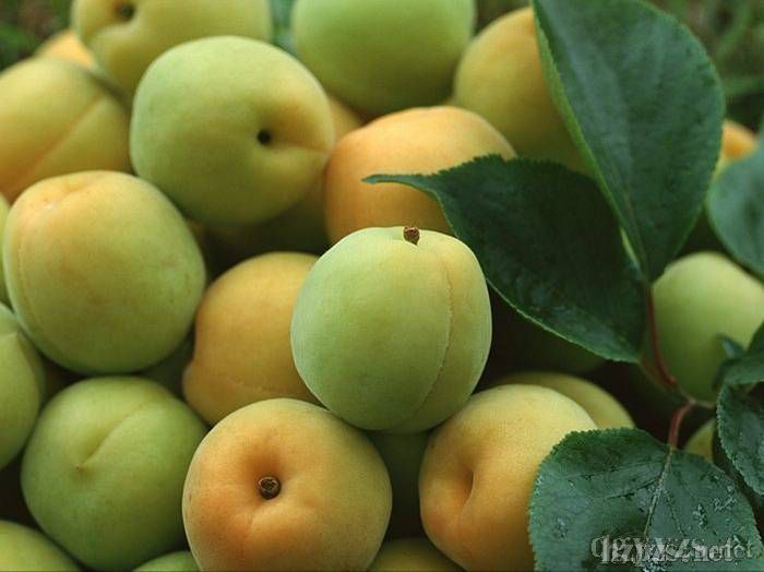 �w�w÷�a(ch��n)Ʒ�DƬ