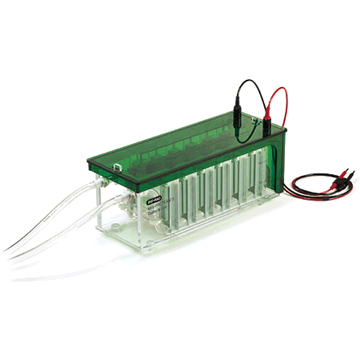 ��������bio-radС�͸�ͨ���Ӿ��1654100�a(ch��n)Ʒ�DƬ