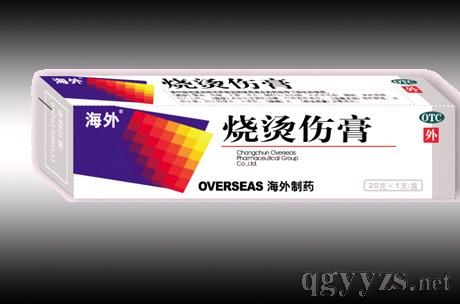 ������C����(�����ˎ)