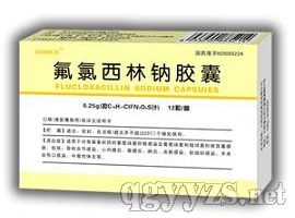 ���������c�z��