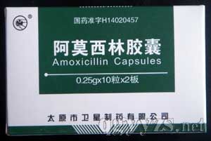 ��Ī�����z��