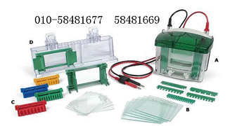 ����(gu��)Bio-rad�����Ӿ�x/�Ӿ��/�Դ���D(zhu��n)�Ʋۮa(ch��n)Ʒ�DƬ