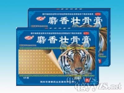 ����ѹǸࣨ6Ƭ��