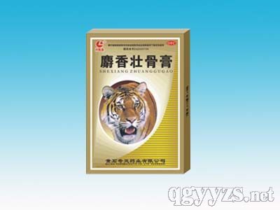 ����ѹǸ�8Ƭ