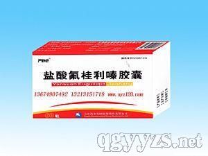 鹽酸氟桂利嗪膠囊