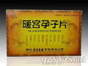暖宮孕子片