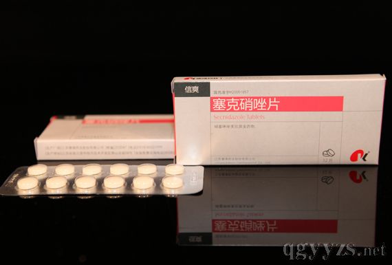 ��������Ƭ