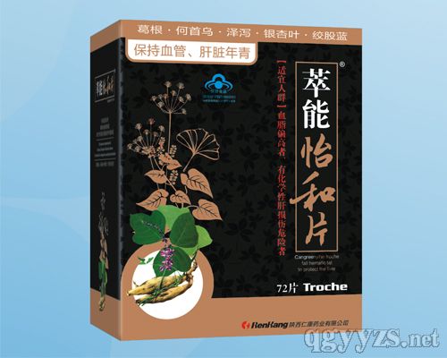 ��������Ƭ