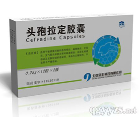 �^�������z��0.25g��12����2��