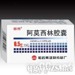 ��Ī�����z��