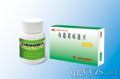 ���������Ƭ