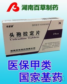 �f�Z���^������Ƭ