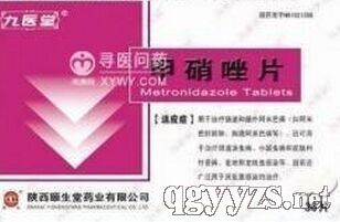 ������Ƭ