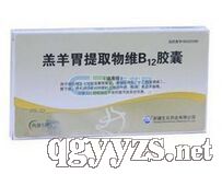 ����θ��ȡ��SB12�z��