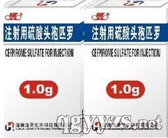 注射用硫酸頭孢匹羅