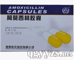 ��Ī�����z��