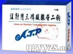 ע�������������ն��c