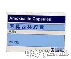 ��Ī�����z��