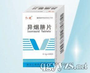 ������Ƭ