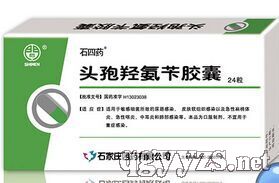 �^���u���S�z��