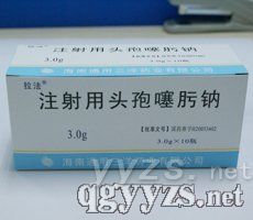 ע�����^������c