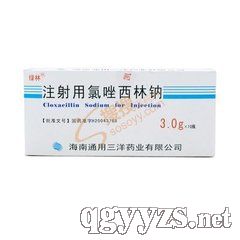 ע�������������c