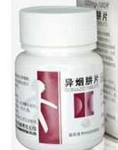 ������Ƭ