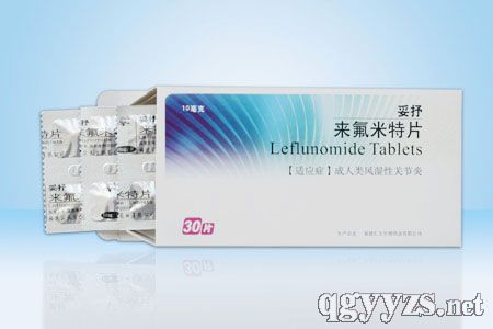 ��������Ƭ