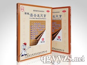 吉民-麝香追風(fēng)膏-大追|風(fēng)濕痛,醫(yī)保,中標(biāo),不粘毛