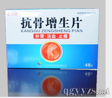 ��������Ƭ����������