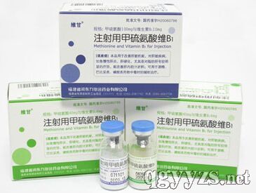 ע���ü�����SB1