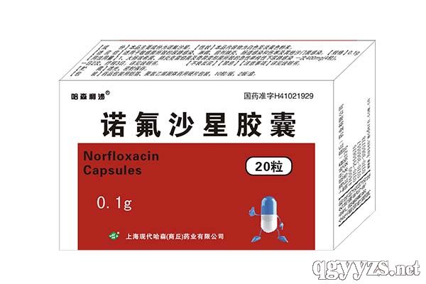 �Z��ɳ���z�ң�0.1g��10����2�壩