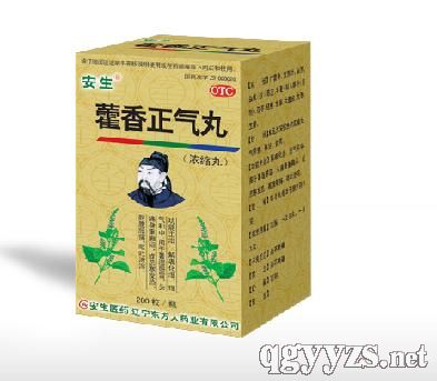 藿香正氣丸(濃縮丸)