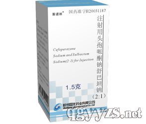 ˹�Z��®ע�����^����ͪ�c���̹�c2:11.5