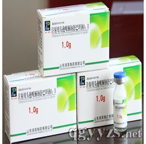 注射用頭孢哌酮鈉舒巴坦鈉