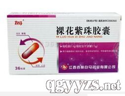 裸花紫珠膠囊